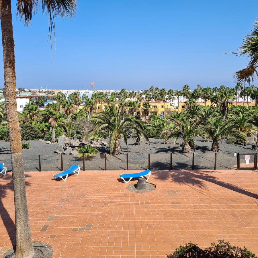 Appartement Oasis Royal D311